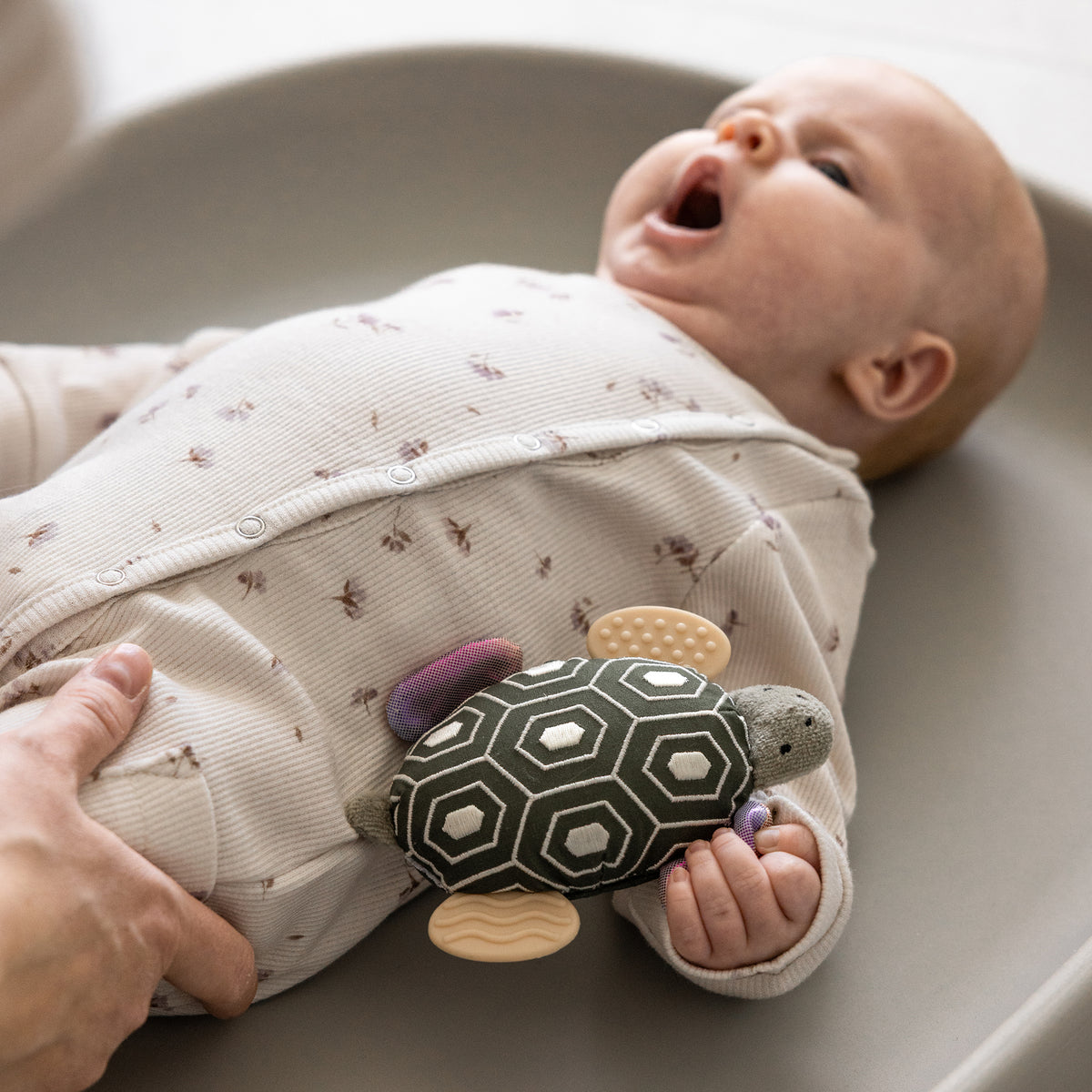 Luca the ladybird, Natural rubber teether - Sebra Play - Dark